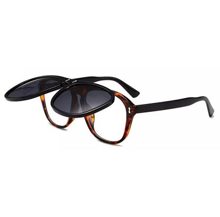 Alpottica Taylor Havana-Brown Black Unisex Güneş Gözlüğü