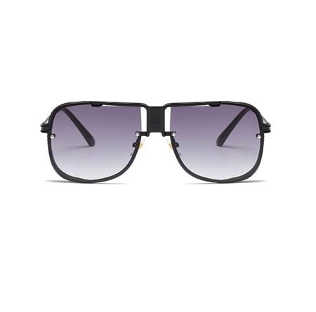 Alpottica Dante Black Smoked Unisex Güneş Gözlüğü