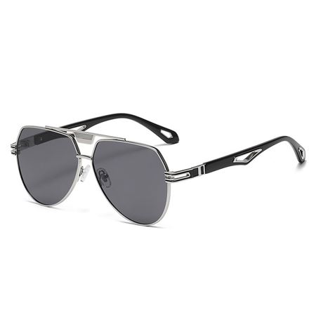 Alpottica Felix Silver Black Sunglasses