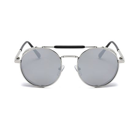 Alpottica Hayden Silver Grey Sunglasses