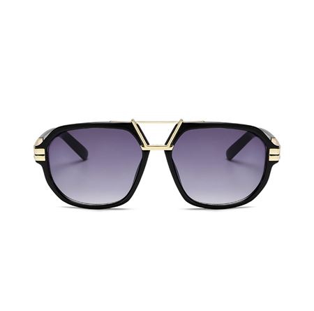 Alpottica Miles Black Smoked Unisex Güneş Gözlüğü