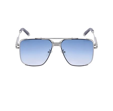 Alpottica Otto Silver Blue Unisex Güneş Gözlüğü