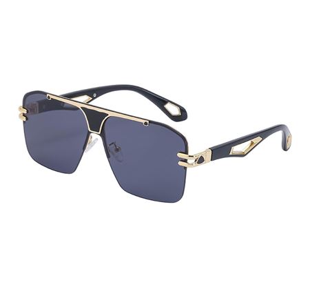 Alpottica Richard Black Unisex Güneş Gözlüğü