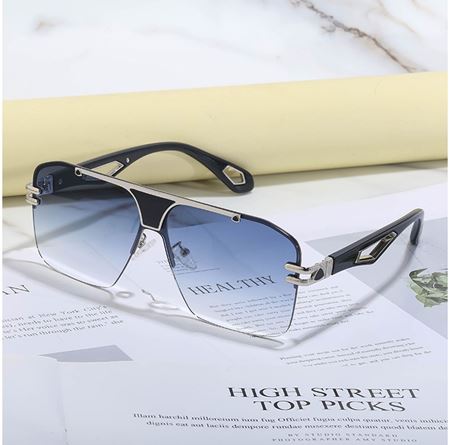 Alpottica Richard Black Blue Unisex Güneş Gözlüğü