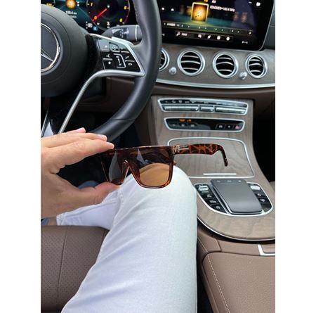 Alpottica Luis Brown-Havana Unisex Güneş Gözlüğü