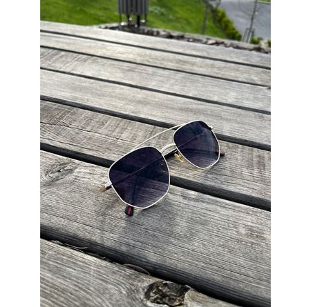 Alpottica George Silver Smoked Unisex Güneş Gözlüğü