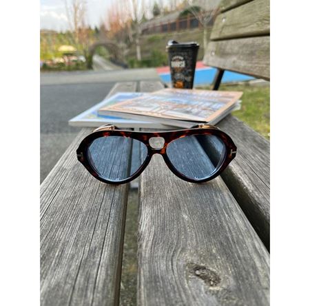 Alpottica TF1 Brown Blue Unisex  Güneş Gözlüğü