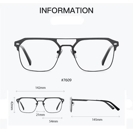 Alpottica Magnetic Eyewear 7609  3 in Silver