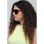 Alpottica Luis Brown-Havana Unisex Güneş Gözlüğü