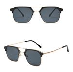 Alpottica Blackline Gold Black Unisex  Güneş Gözlüğü